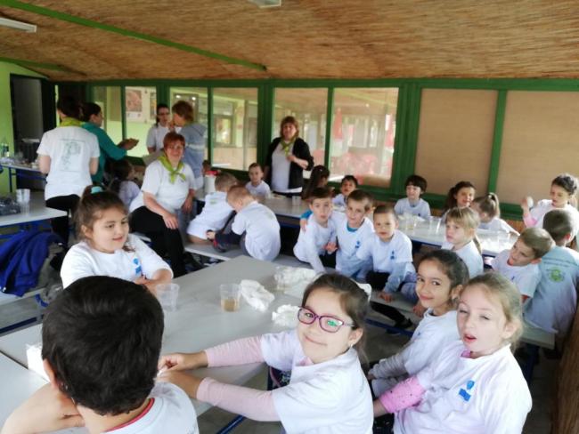 Erdei Óvoda program 2019.