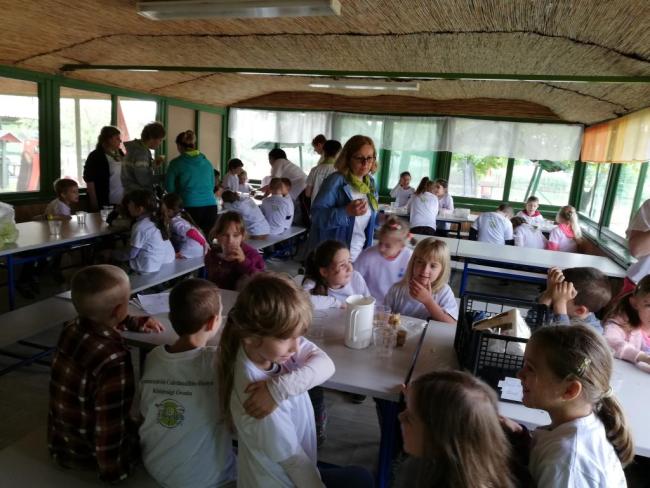 Erdei Óvoda program 2019.