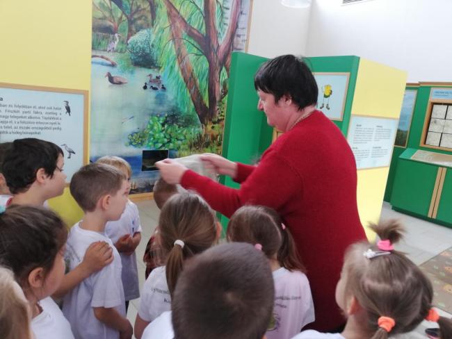 Erdei Óvoda program 2019.