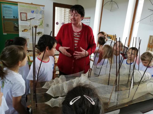 Erdei Óvoda program 2019.