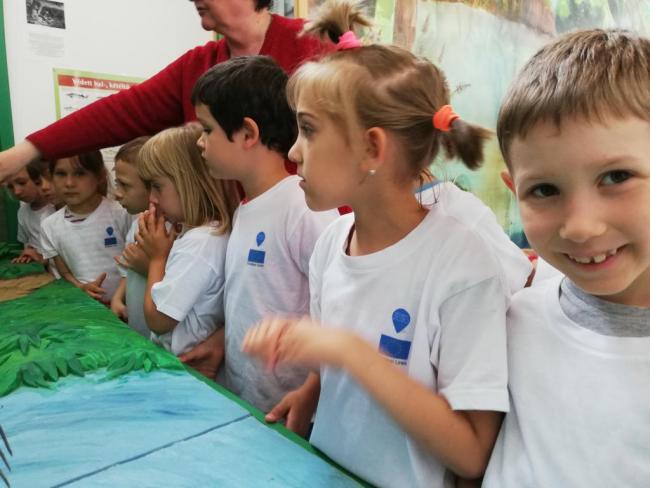 Erdei Óvoda program 2019.