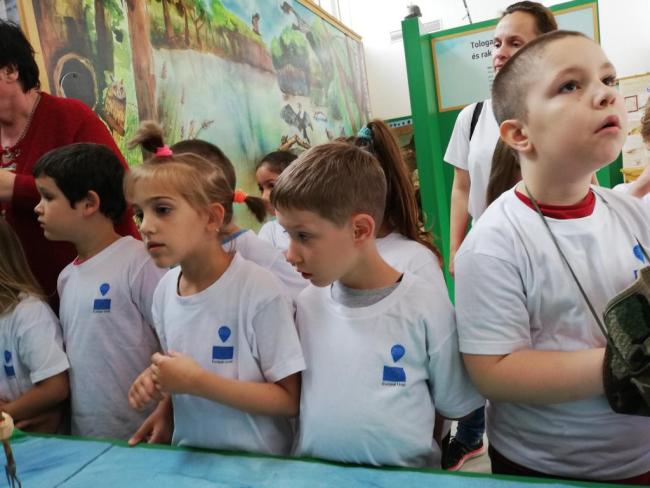 Erdei Óvoda program 2019.