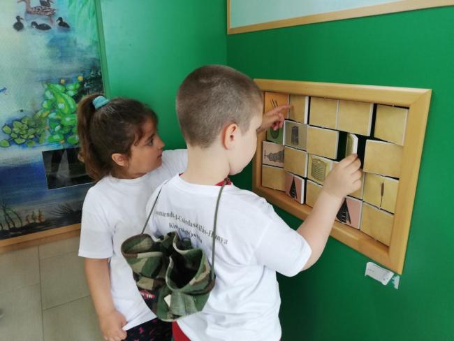 Erdei Óvoda program 2019.