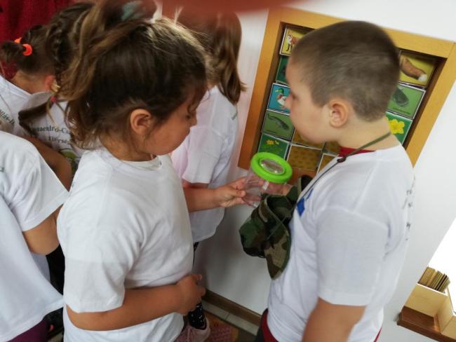 Erdei Óvoda program 2019.