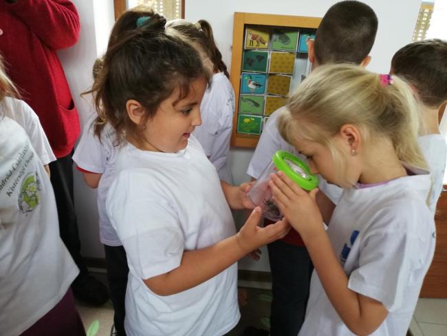 Erdei Óvoda program 2019.