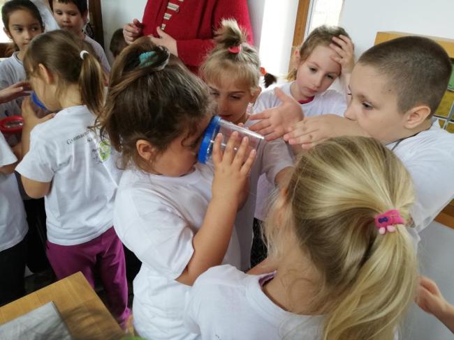 Erdei Óvoda program 2019.