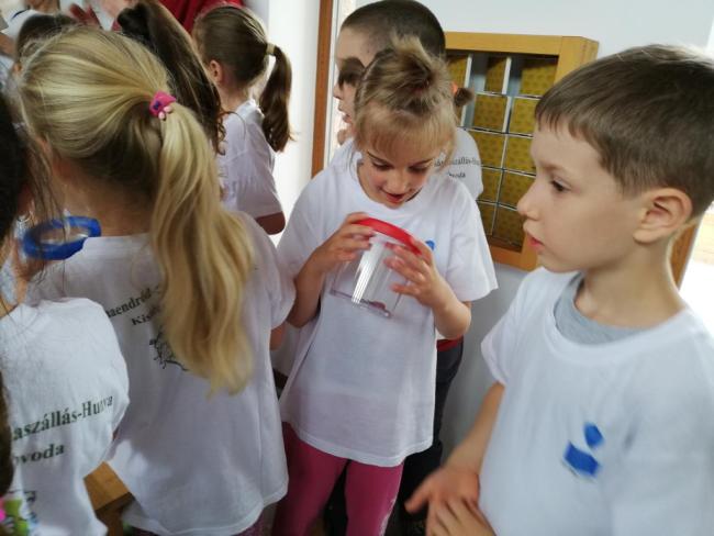 Erdei Óvoda program 2019.