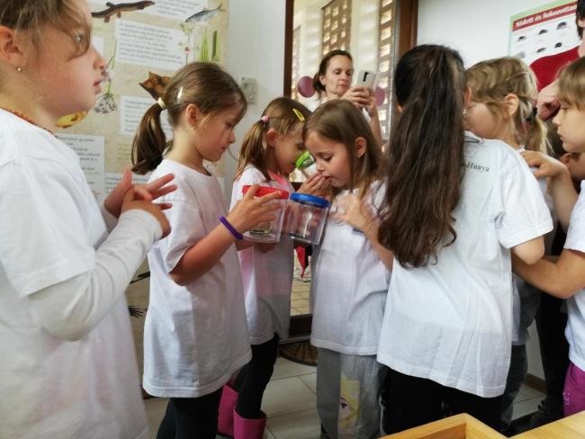 Erdei Óvoda program 2019.