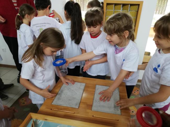 Erdei Óvoda program 2019.