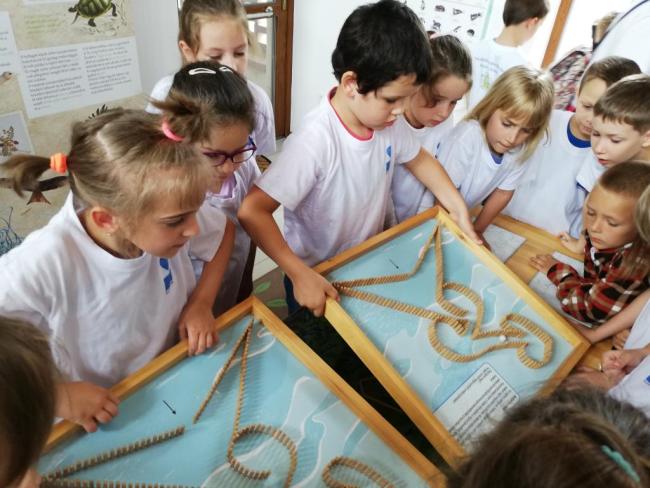 Erdei Óvoda program 2019.