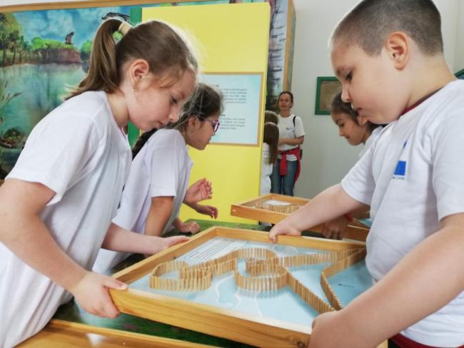 Erdei Óvoda program 2019.