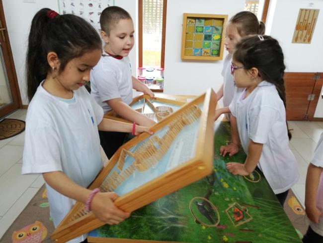 Erdei Óvoda program 2019.