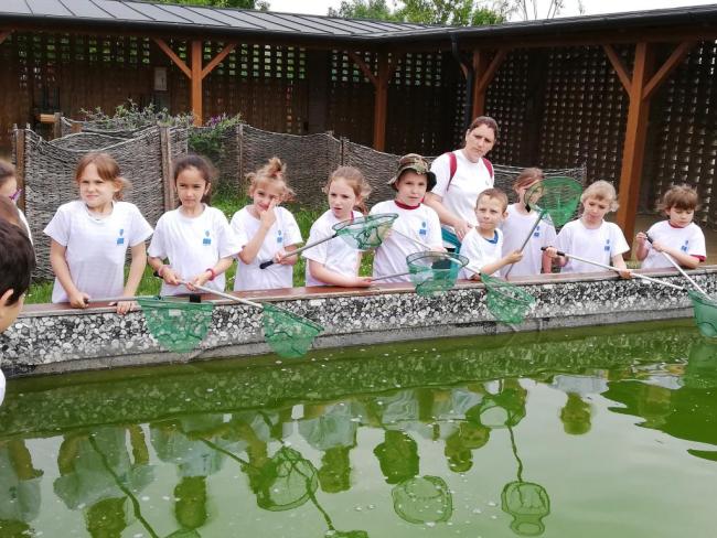 Erdei Óvoda program 2019.