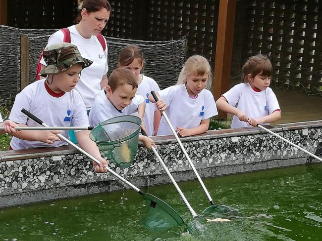 Erdei Óvoda program 2019.