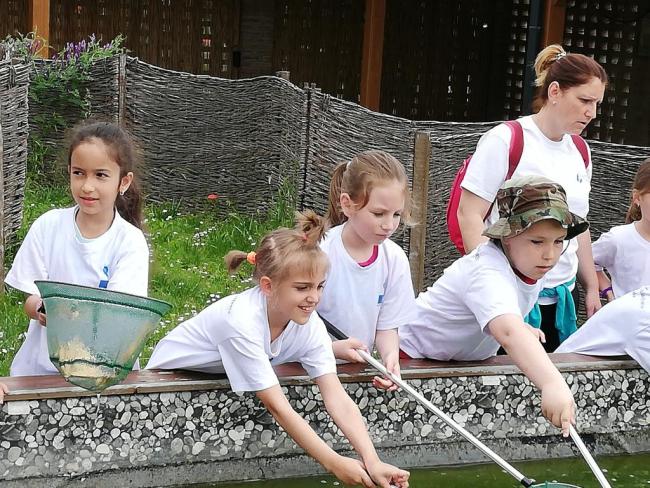 Erdei Óvoda program 2019.