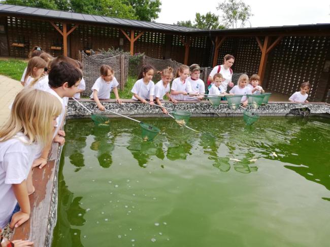 Erdei Óvoda program 2019.