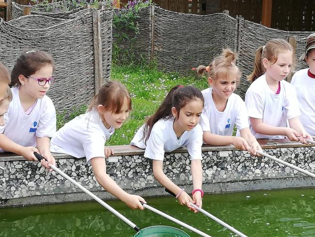 Erdei Óvoda program 2019.