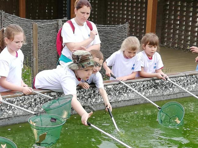 Erdei Óvoda program 2019.