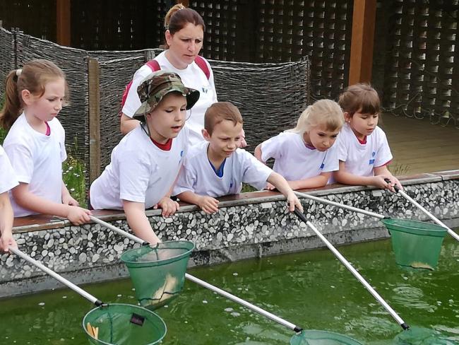 Erdei Óvoda program 2019.