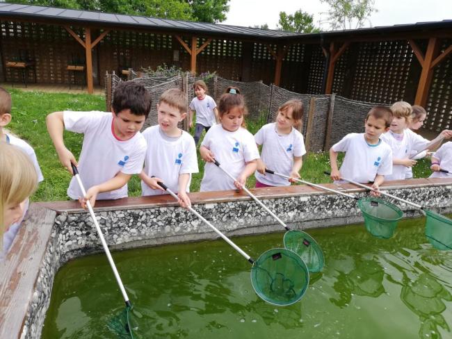 Erdei Óvoda program 2019.