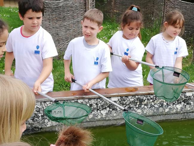 Erdei Óvoda program 2019.