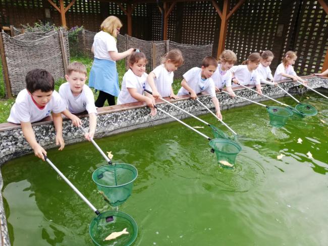 Erdei Óvoda program 2019.