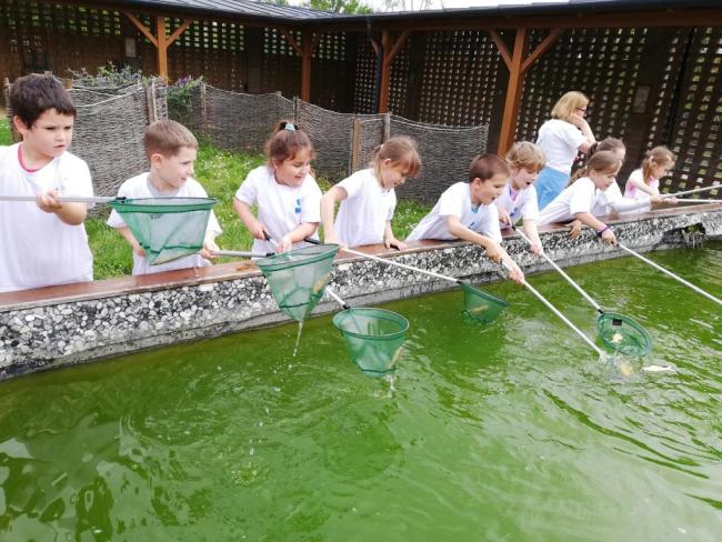 Erdei Óvoda program 2019.