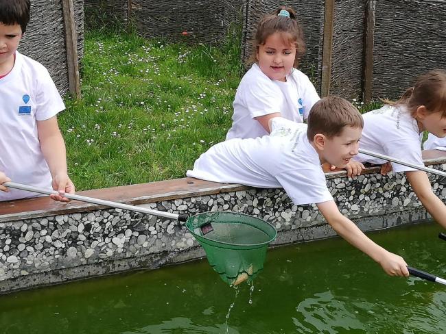 Erdei Óvoda program 2019.