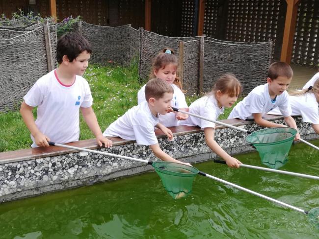 Erdei Óvoda program 2019.