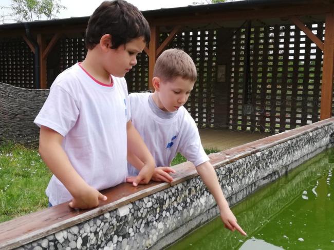 Erdei Óvoda program 2019.