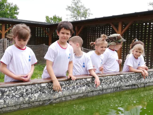 Erdei Óvoda program 2019.