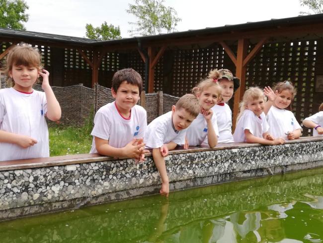 Erdei Óvoda program 2019.