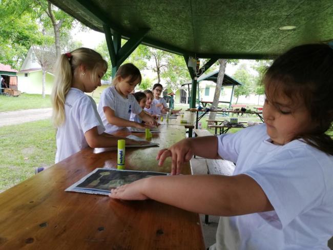 Erdei Óvoda program 2019.