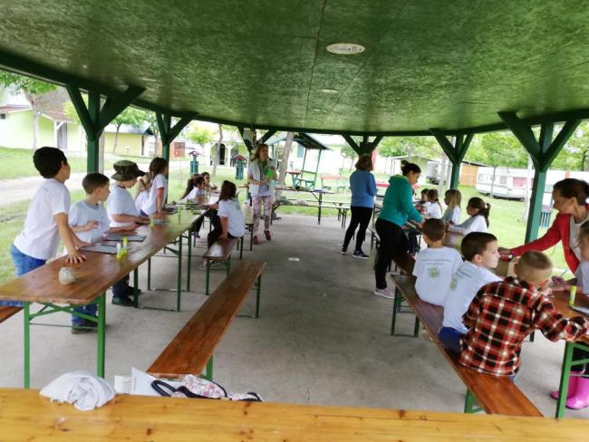 Erdei Óvoda program 2019.