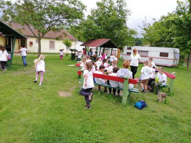 Erdei Óvoda program 2019.