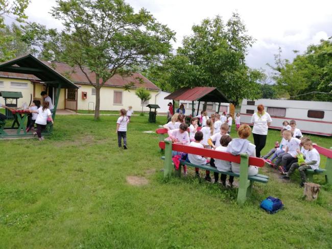 Erdei Óvoda program 2019.