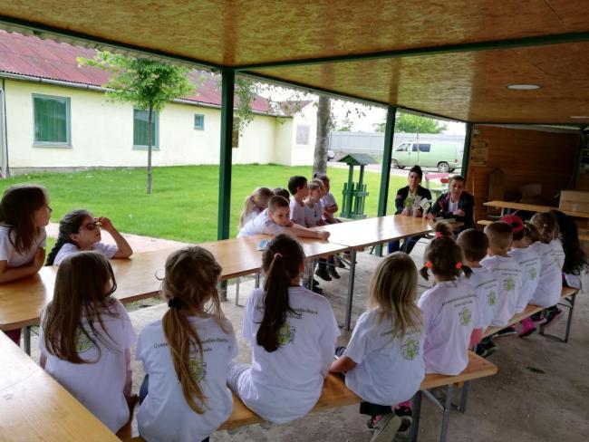 Erdei Óvoda program 2019.