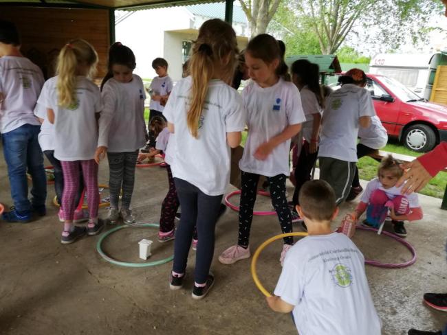 Erdei Óvoda program 2019.