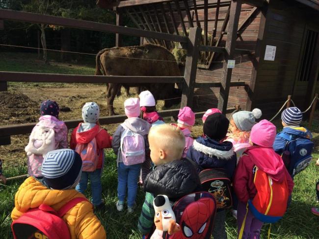 "Mondd, szereted az állatokat?"