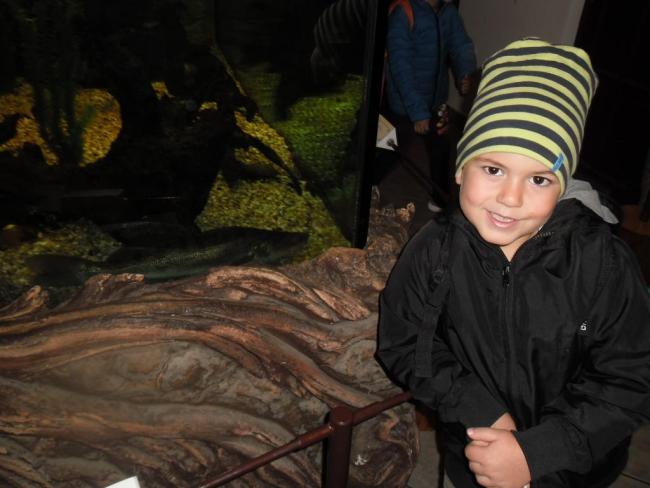 "Mondd, szereted az állatokat?"