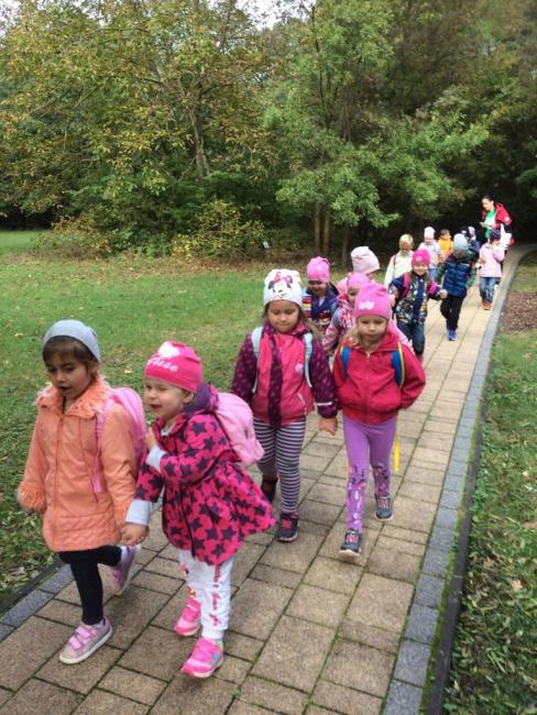 "Mondd, szereted az állatokat?"