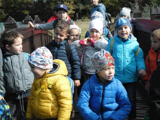 "Mondd, szereted az állatokat?"