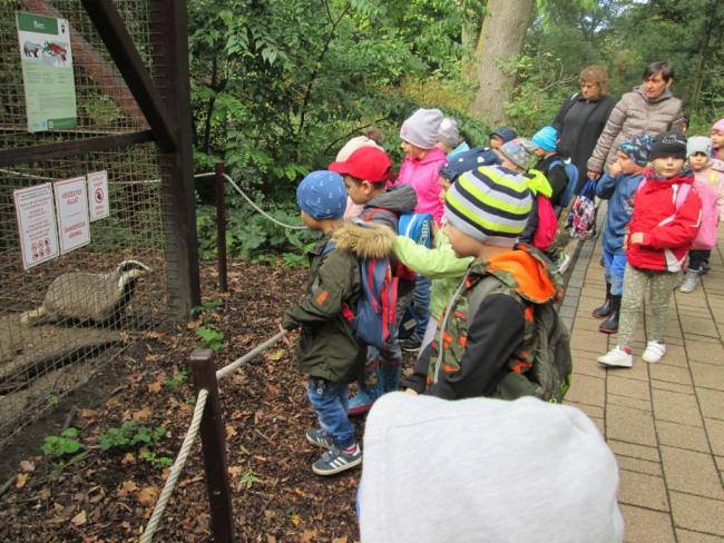 "Mondd, szereted az állatokat?"