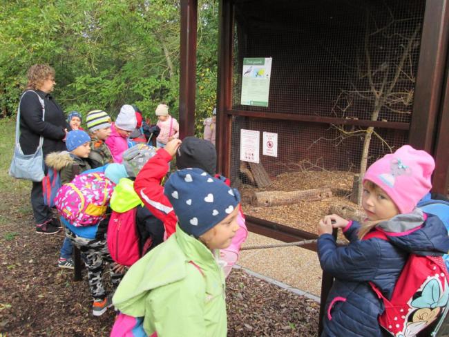 "Mondd, szereted az állatokat?"