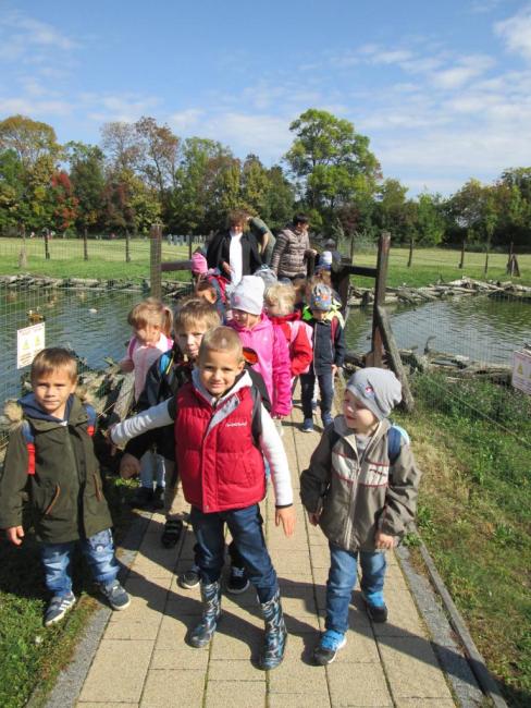 "Mondd, szereted az állatokat?"