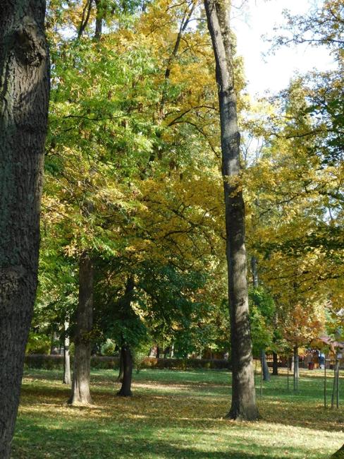 Ősz szele zümmög....Százszorszépesek kirándulása az Erzsébet ligetben