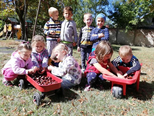 Gesztenyét gyűjtöttünk
