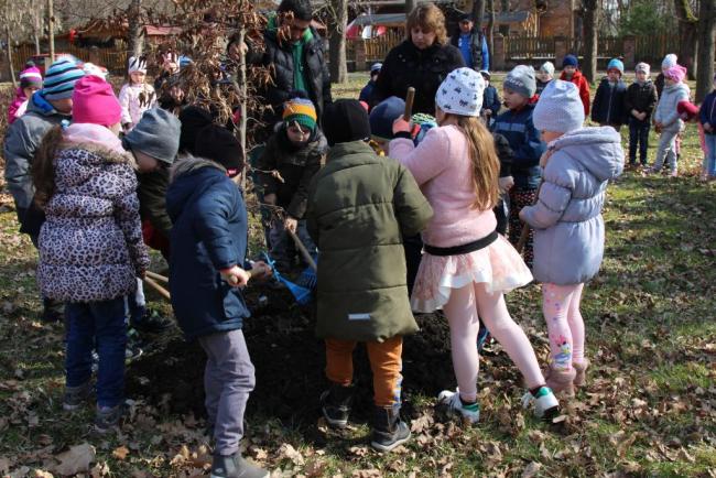 Százszorszép Ovisok faültetése a helyi Erzsébet Ligetben