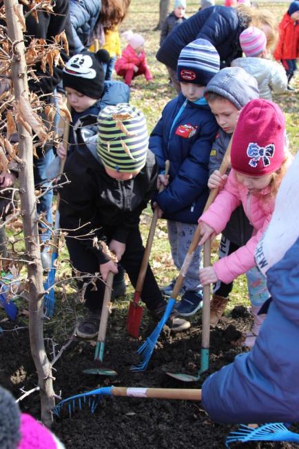Százszorszép Ovisok faültetése a helyi Erzsébet Ligetben