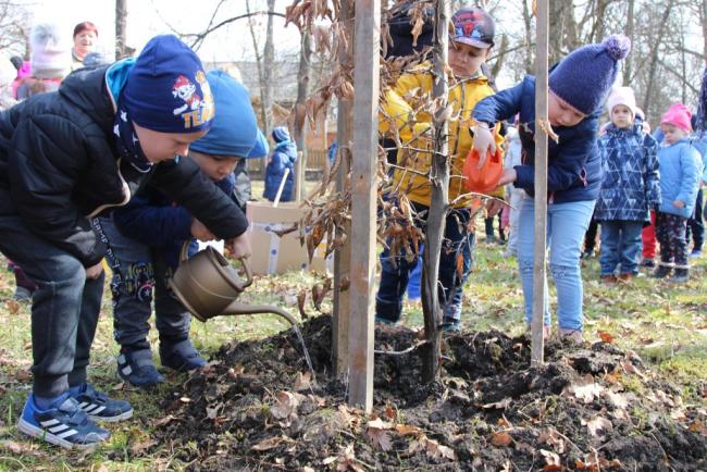 Százszorszép Ovisok faültetése a helyi Erzsébet Ligetben
